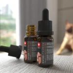 CBD para Perros: Guía Definitiva de SwissFxCBD para el Bienestar Canino